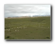 Click to enlarge this image